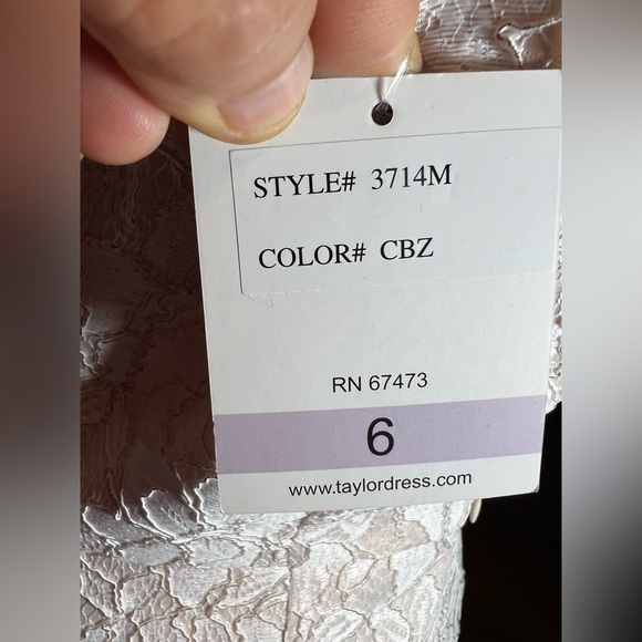 Taylor White Lace Mini Dress with Tan Feather Trim - Picture 7 of 9